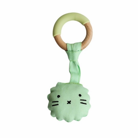 Hochet de dentition en peluche - Vert | Little rawr