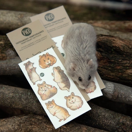 Tatouages temporaires - Pooky le hamster et ses amis | PiCO