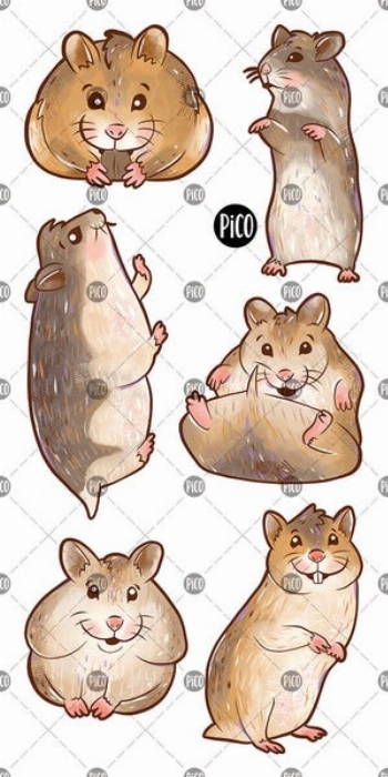 Tatouages temporaires - Pooky le hamster et ses amis | PiCO