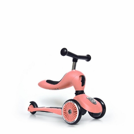 Trotinette 2 en 1 - Highwaykick 1 - Pêche | Scoot & Ride