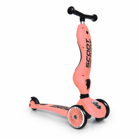Trotinette 2 en 1 - Highwaykick 1 - Pêche | Scoot & Ride