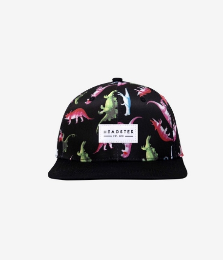 Casquette Snapback - Dino | Headster Kids