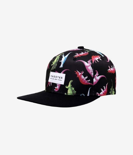 Casquette Snapback - Dino | Headster Kids