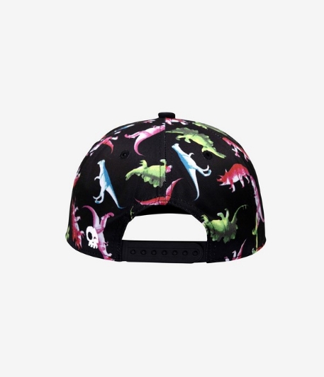 Casquette Snapback - Dino | Headster Kids