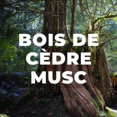 Déodorant - Bois de cèdre-musc | Kali