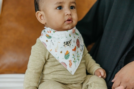 Bavoirs Bandanas - Farmstead | Copper Pearl
