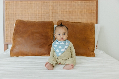 Bavoirs Bandanas - Farmstead | Copper Pearl