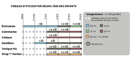 Echinacée biologique | Souris Verte