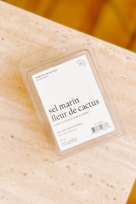 Cubes de cire de soya - Sel marin fleur de cactus | Marée