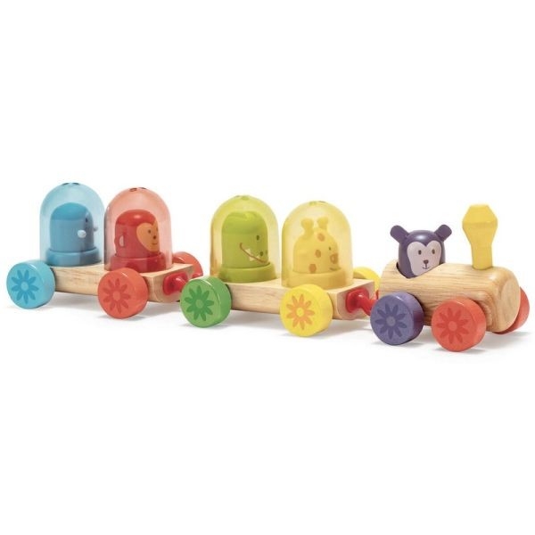 Rainbow Train | Djeco