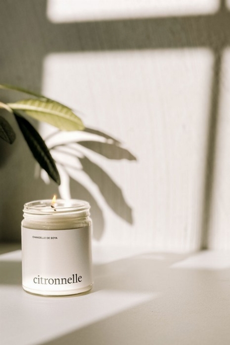 Chandelle - Intérieur & extérieur - Huile essentielle - Citronelle | Marée 60 heures