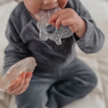 Anneaux de dentition rafraîchissants