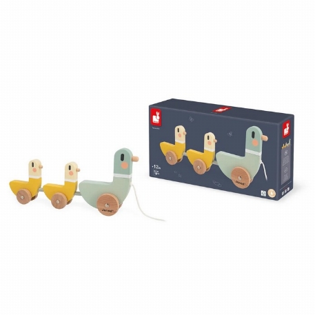 Canards à tirer | Janod