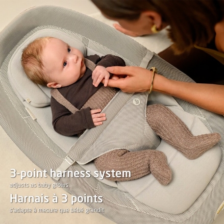 Siège vibrant Dove Pro - Elegance Graphite | Maxi Cosi
