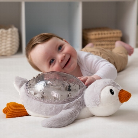 Tranquil Penguin - Veilleuse Projecteur Apaisante - Gris | Cloud.B