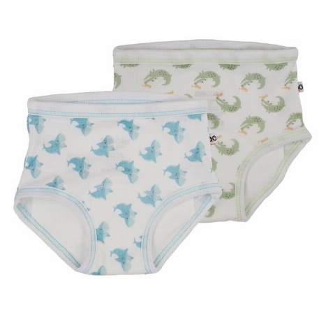 Culotte d'entrainement - Paquet de 2 - Alligator/Requin | Zoocchini