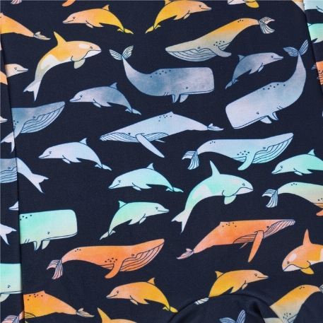 Maillot de bain UV - Baleines | Color Kids