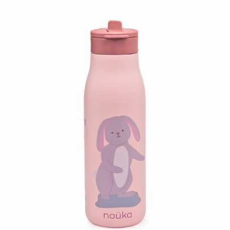 Bouteille d'eau en inox - 16oz - Pip le Lapin | Noüka