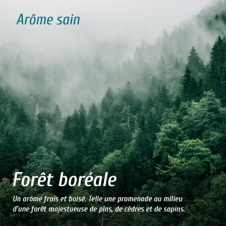 Élimine odeur - Forêt boréale | O'Nature