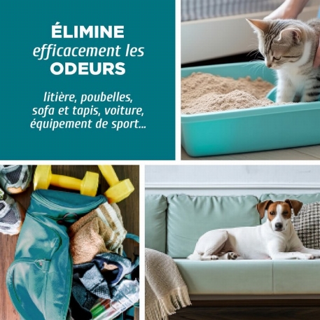 Élimine odeur - Forêt boréale | O'Nature