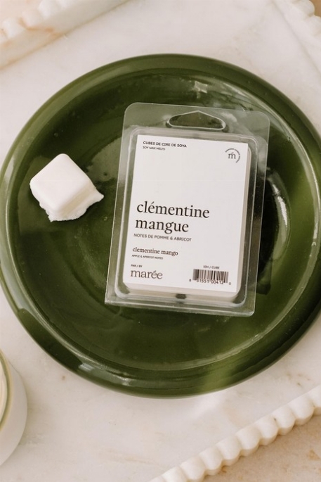 Cubes de cire de soya - Clémentine mangue | Marée