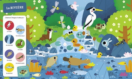 Cherche et trouve des tout-petits - Tous à l'eau | Auzou