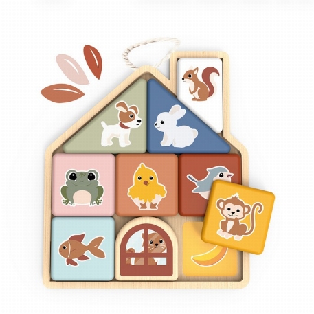 Puzzle magnétique de découverte | Speedy Monkey